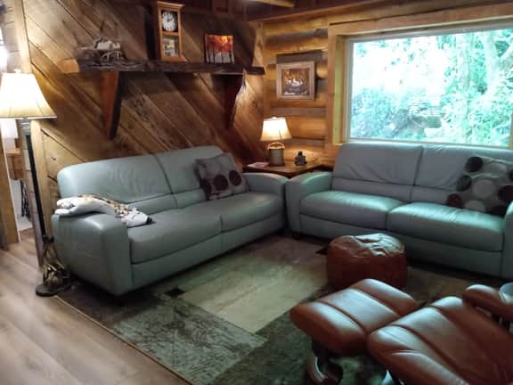 2BR Trout Stream Cabin Near Asheville